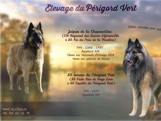 Ismene Du Perigord Vert